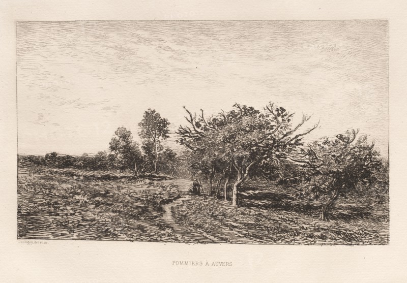 Apple Trees at Auvers (Pommiers à Auvers), 1877. Charles François Daubigny (French, 1817-1878). Etching; sheet: 31 x 42.6 cm (12 3/16 x 16 3/4 in.); platemark: 19 x 27.3 cm (7 1/2 x 10 3/4 in.).