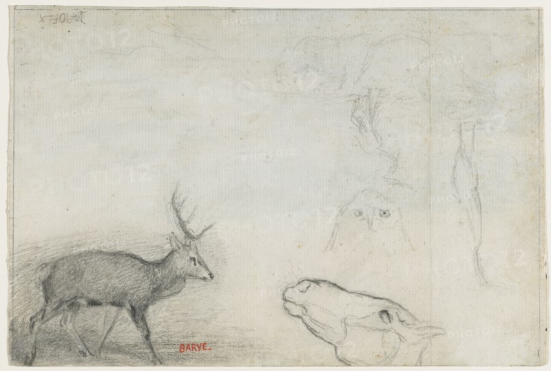 Studies of Animals (verso). Antoine-Louis Barye (French, 1796-1875). Graphite; sheet: 15.5 x 23.1 cm (6 1/8 x 9 1/8 in.).
