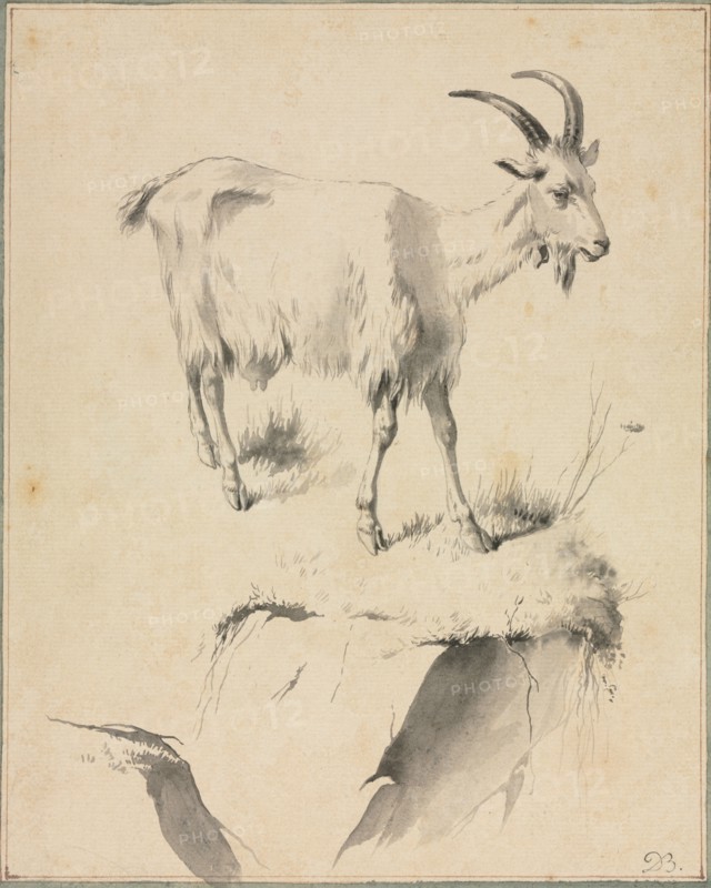 Study of a Goat, 1700s. Jean Jacques de Boissieu (French, 1736-1810). Black ink and gray ink wash and point of brush work; sheet: 24.1 x 19.5 cm (9 1/2 x 7 11/16 in.).