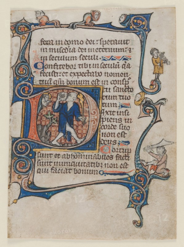 Leaf from a Psalter: Initial D: A Fool Rebuked by God, c. 1300-1320. Northern France or Flanders, St. Omer or Thèrouanne, 14th century. Ink, tempera and gold on vellum; leaf: 10.7 x 7.8 cm (4 3/16 x 3 1/16 in.)