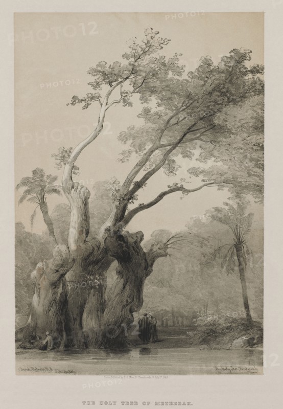 Egypt and Nubia, Volume III: The Holy Tree of Metereah, 1849. Louis Haghe (British, 1806-1885), F.G.Moon, 20 Threadneedle Street, London, after David Roberts (British, 1796-1864). Color lithograph; sheet: 45 x 40.5 cm (17 11/16 x 15 15/16 in.); image: 35.1 x 23.9 cm (13 13/16 x 9 7/16 in.).