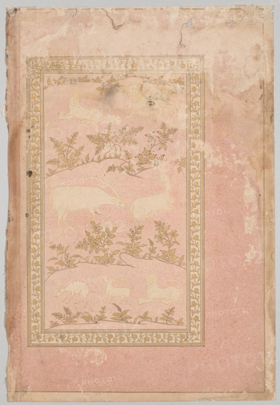 Stenciled Scenes of Lion and Gazelle, c. 1710. India, Mughal, early 18th century. Ink and gold on pink-speckled paper (verso); page: 42.2 x 28.5 cm (16 5/8 x 11 1/4 in.).