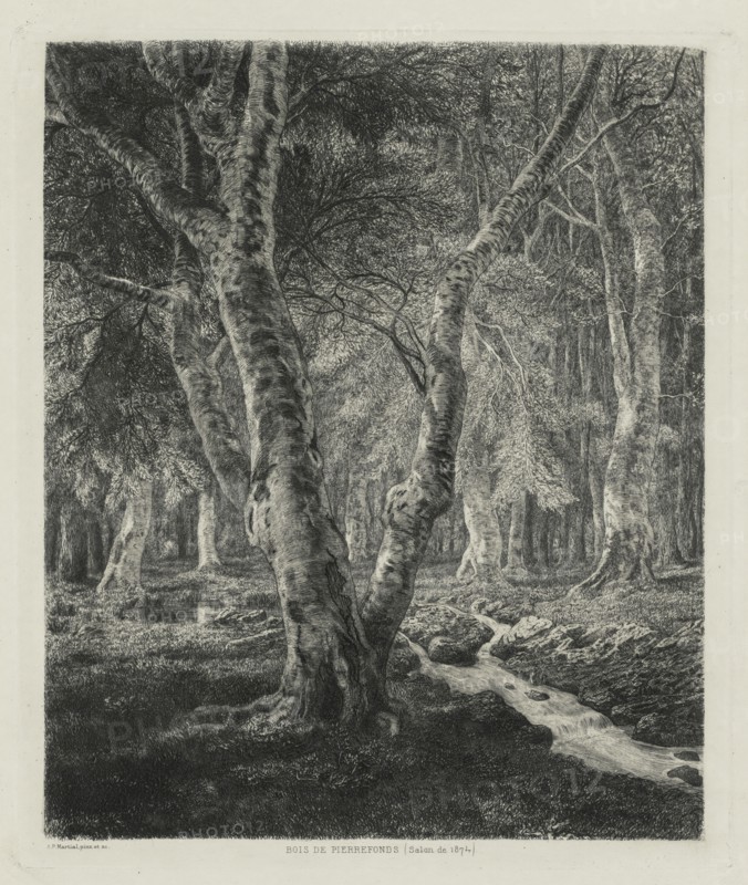 Bois de Pierrefonds, 1874. Adolphe Théodore Jules Martial Potémont (French, 1828-1883). Etching; sheet: 42.7 x 31.5 cm (16 13/16 x 12 3/8 in.); platemark: 30 x 25.6 cm (11 13/16 x 10 1/16 in.)