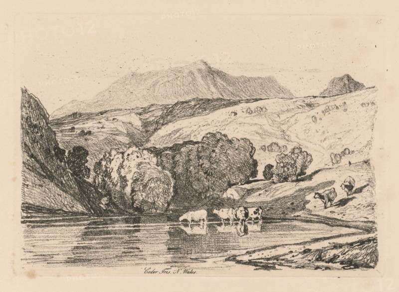 Liber Studiorum: Plate 15, Cader Iris, North Wales, 1838. John Sell Cotman (British, 1782-1842). Softground etching, from a bound volume containing 48 plates; sheet: 49.7 x 32 cm (19 9/16 x 12 5/8 in.); platemark: 12.5 x 17.7 cm (4 15/16 x 6 15/16 in.).