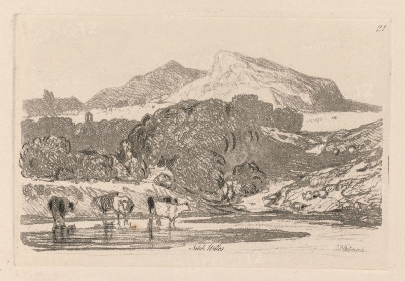 Liber Studiorum: Plate 21, View in North Wales, 1838. John Sell Cotman (British, 1782-1842). Softground etching, from a bound volume containing 48 plates; sheet: 49.6 x 32 cm (19 1/2 x 12 5/8 in.); platemark: 7.5 x 11.4 cm (2 15/16 x 4 1/2 in.)