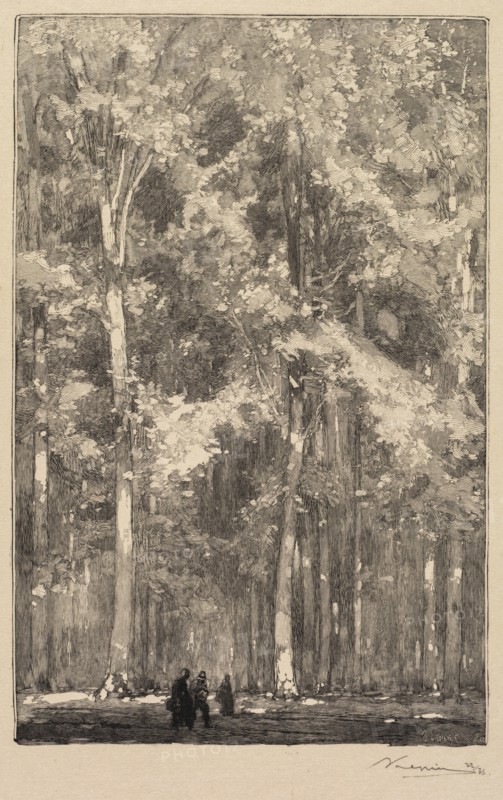 Fontainebleau Forest: Morning, Crossroads of the Route of the Forts de Marlotte (La Forêt de Fontainebleau: Le Matin, Carrefour des Fort de Marlotte), 1890. Auguste Louis Lepère (French, 1849-1918), A. Desmoulins, Published in Revue Illustrée, 1887-90. Wood engraving from bound volume of 34 ; image: 23.5 x 15.2 cm (9 1/4 x 6 in.).
