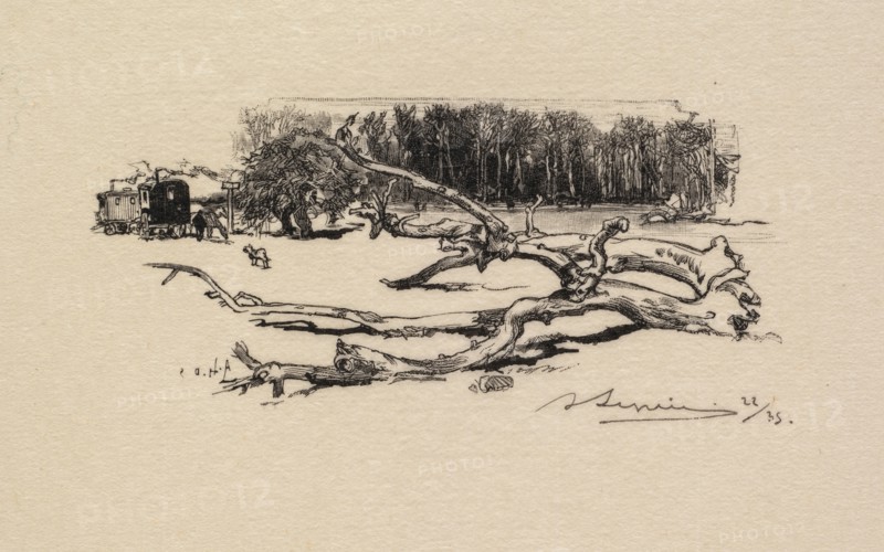 Fontainebleau Forest: Carrefour de l'Epine (La Forêt de Fontainebleau: Carrefour de l'Epine), 1890. Auguste Louis Lepère (French, 1849-1918), A. Desmoulins, Published in Revue Illustrée, 1887-90. Wood engraving from bound volume of 34 ; image: 4.5 x 10.3 cm (1 3/4 x 4 1/16 in.)