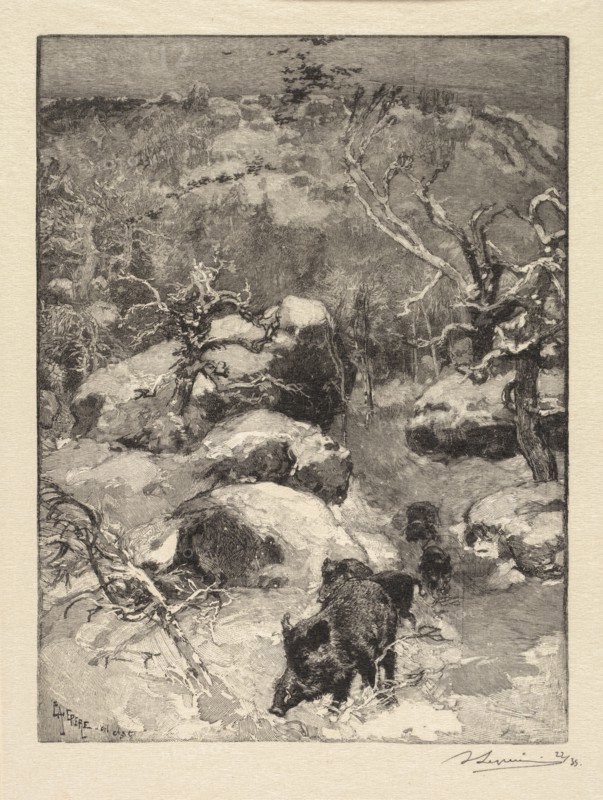 Fontainebleau Forest: Cuvier-Châtillon Cliff (La Forêt de Fontainebleau: Roche Cuvier-Châtillon), 1890. Auguste Louis Lepère (French, 1849-1918), A. Desmoulins, Published in Revue Illustrée, 1887-90. Wood engraving from bound volume of 34 ; image: 21.9 x 16.4 cm (8 5/8 x 6 7/16 in.)