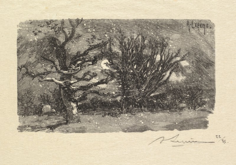Fontainebleau Forest: Au dormoir de Lantara (La Forêt de Fontainebleau: Au dormoir de Lantara), 1890. Auguste Louis Lepère (French, 1849-1918), A. Desmoulins, Published in Revue Illustrée, 1887-90. Wood engraving from bound volume of 34 ; sheet: 15.4 x 22.2 cm (6 1/16 x 8 3/4 in.); image: 6.4 x 11.3 cm (2 1/2 x 4 7/16 in.)