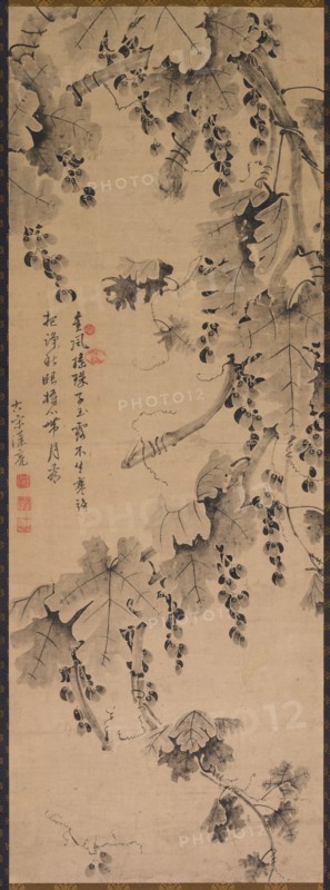 Grapevine, 1700s to 1800s. China, Qing dynasty (1644-1911). Hanging scroll; ink on paper; overall: 113 x 40.5 cm (44 1/2 x 15 15/16 in.).