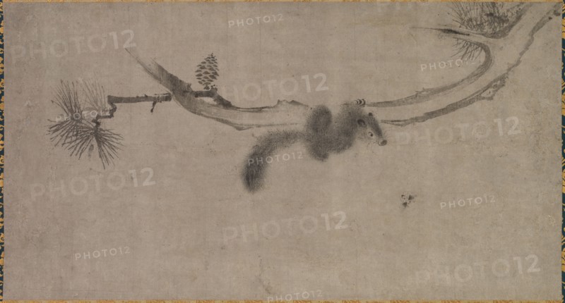 Squirrel on a Pine Branch, 1500s. Song Tian (Chinese, active 1300s). Hanging scroll, ink on paper; overall: 119.7 x 66.4 cm (47 1/8 x 26 1/8 in.).
