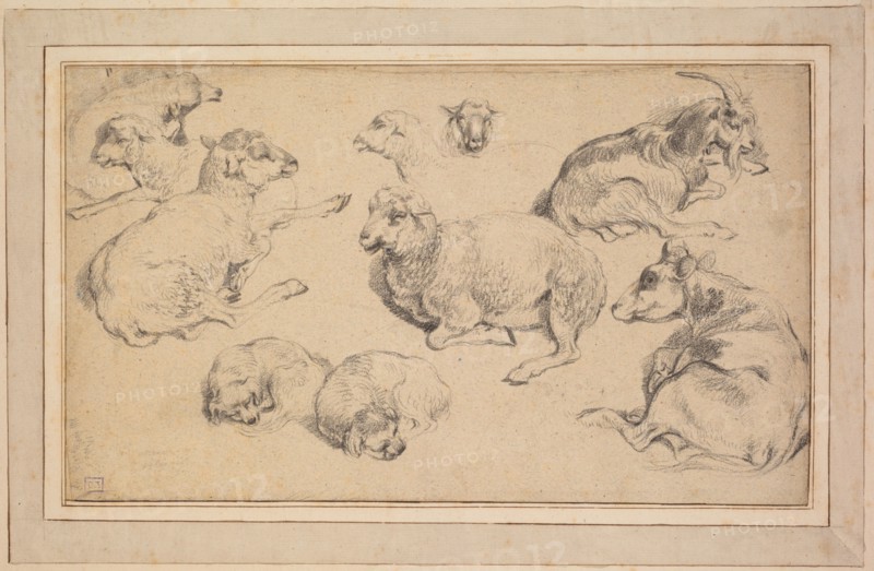 Sheet of Studies with Sheep, Goats, and Dogs, c. 1780. Jean-Baptiste Marie Hüet (French, 1745-1811). Black chalk; sheet: 20.3 x 34.4 cm (8 x 13 9/16 in.); secondary support: 26.8 x 40.5 cm (10 9/16 x 15 15/16 in.).