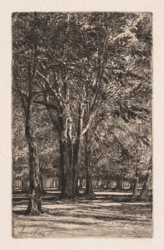 Kensington Gardens, No. 2 (The Larger Plate), 1860. Francis Seymour Haden (British, 1818-1910). Etching with drypoint