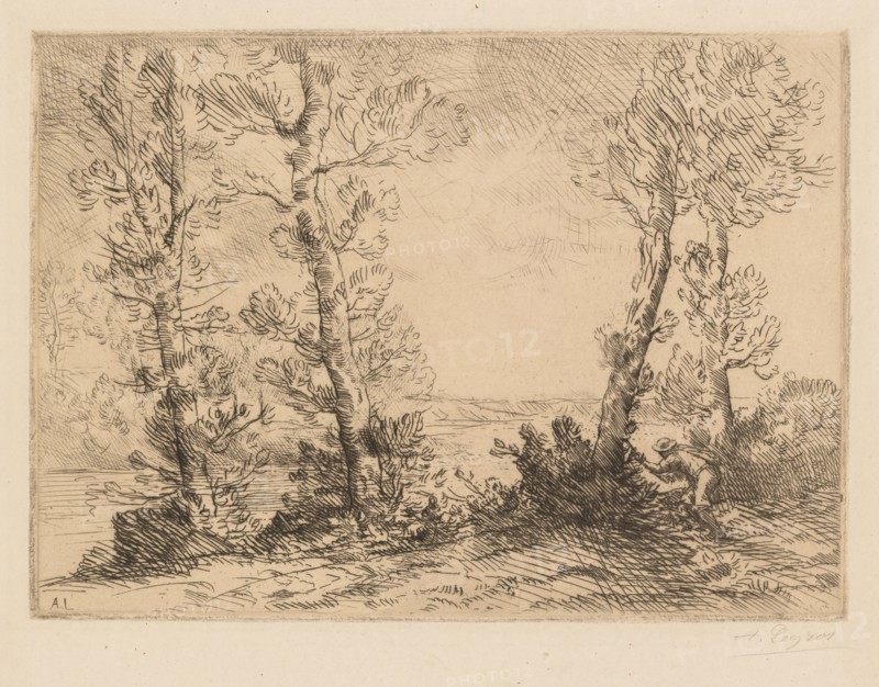 The Salmon Fisherman (Le Pêcheur du Saumon), c. 1880. Alphonse Legros (French, 1837-1911). Etching on wove paper; platemark: 26.4 x 36.5 cm (10 3/8 x 14 3/8 in.); sheet: 38.6 x 53.6 cm (15 3/16 x 21 1/8 in.)