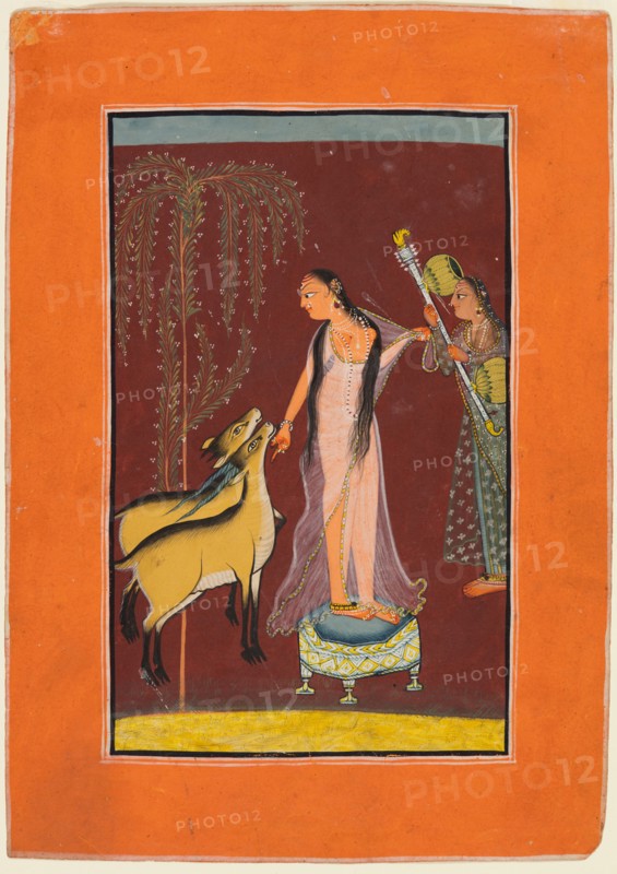 A Lady with Attendant and a Pair of Deer, from a Ragamala, 1710-20. Northern India, Himachal Pradesh, Pahari Kingdom, probably Chamba. Opaque watercolor on paper; page: 21.7 x 15.4 cm (8 9/16 x 6 1/16 in.); miniature: 16.5 x 15.4 cm (6 1/2 x 6 1/16 in.).