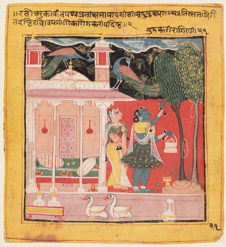 A Lady Plucking Flowers with Peacocks, Gunakali Ragini of Malkos, from the “Chawand Ragamala”, 1605. Northwestern India, Rajasthan, Rajput Kingdom of Mewar, Chawand. Opaque watercolor, ink, and gold on paper; 20.6 x 18.1 cm (8 1/8 x 7 1/8 in.).