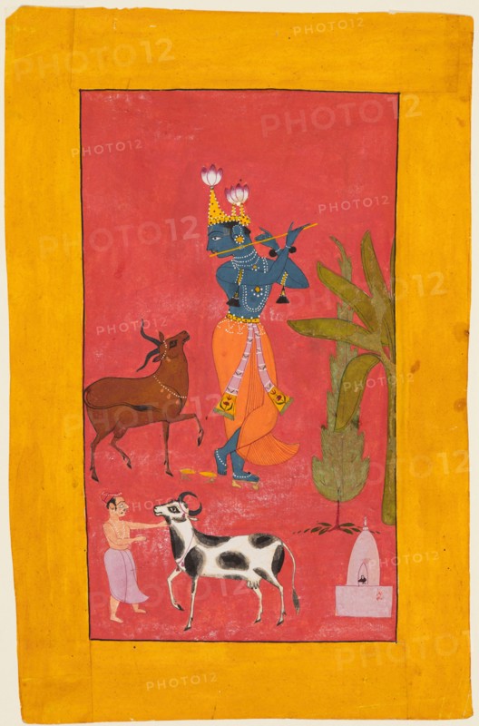 Krishna Fluting, c. 1675-1700. India, Rajasthan, Bundi. Color on paper; page: 21.9 x 14.3 cm (8 5/8 x 5 5/8 in.); miniature: 17.2 x 9.5 cm (6 3/4 x 3 3/4 in.).