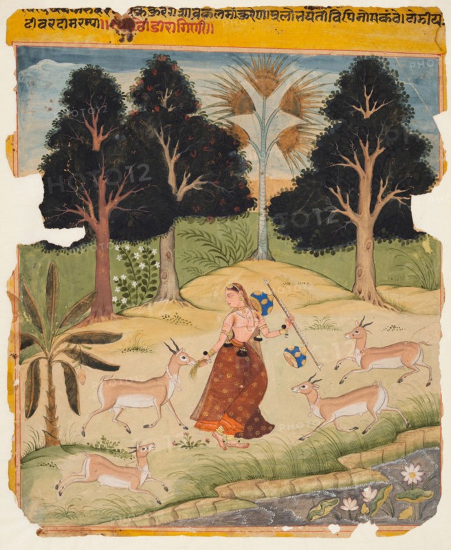 A page from a Ragamala Manuscript: Todi Ragini, c. 1625. India, Rajasthan, Amber. Color on paper; miniature: 21.6 x 19.4 cm (8 1/2 x 7 5/8 in.).