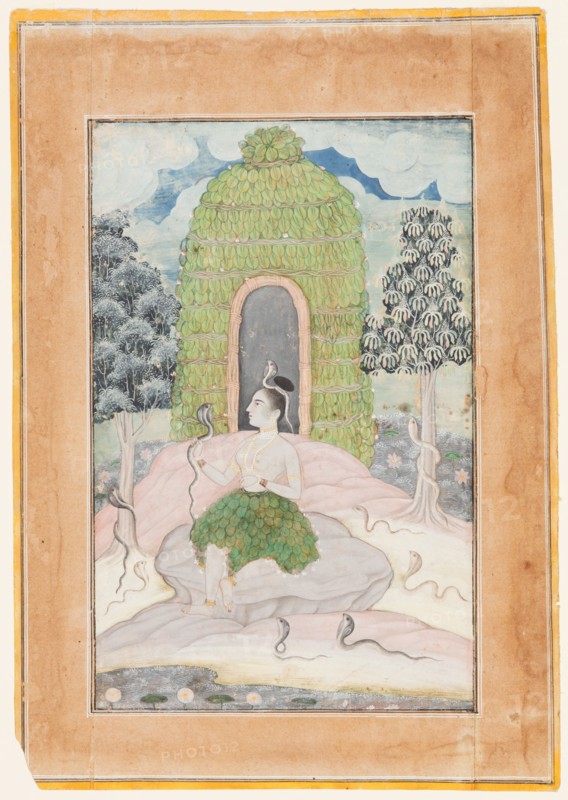 Ascetic Princess with Snakes in a Wilderness: Asavari Ragini, from a Ragamala, c. 1650. Northwestern India, Rajasthan, Rajput Kingdom of Bikaner. Opaque watercolor and gold on paper; page: 25.8 x 18.2 cm (10 3/16 x 7 3/16 in.); miniature: 19.7 x 12.7 cm (7 3/4 x 5 in.).
