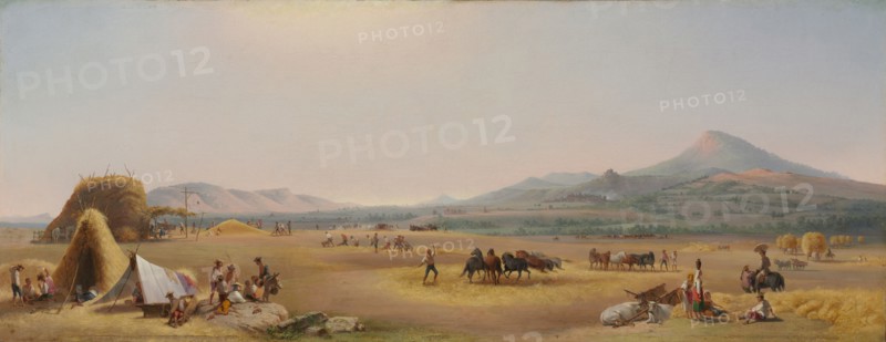Harvest on the Roman Campagna, 1868. John Gadsby Chapman (American, 1808-1889). Oil on canvas; unframed: 35.5 x 91.4 cm (14 x 36 in.).