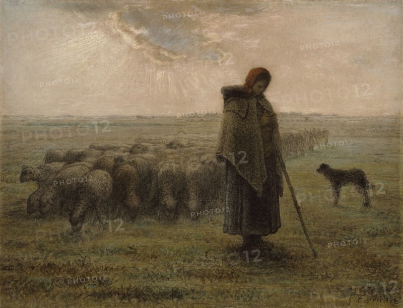 Shepherdess and Her Flock; Jean-François Millet, French, 1814 - 1875, 1862 - 1863; Black chalk and pastel; 36.4 × 47.5 cm