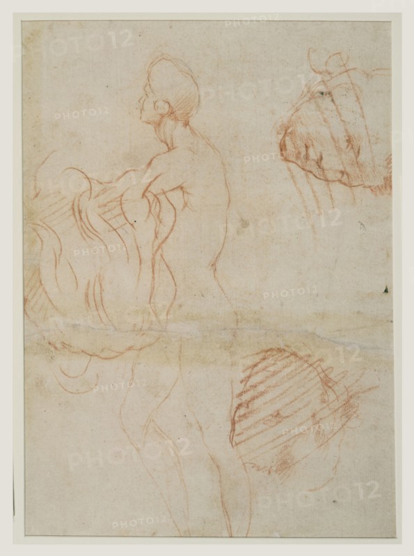 Study of a Kneeling Figure with a Sketch of a Face, recto, Figure Study and Face, verso, Andrea del Sarto, Italian, 1486