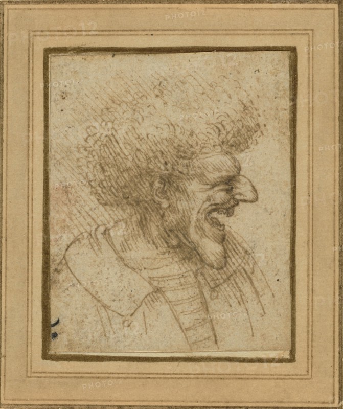 Caricature of a Man with Bushy Hair; Leonardo da Vinci, Italian, 1452 - 1519, about 1495; Pen and brown ink; 6.6 x 5.4 cm