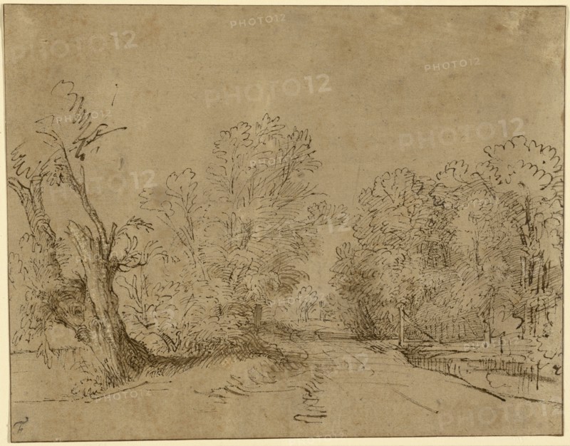 A Wooded Road; Rembrandt Harmensz. van Rijn, Dutch, 1606 - 1669, about 1650; Pen and brown ink and brown wash on paper toned