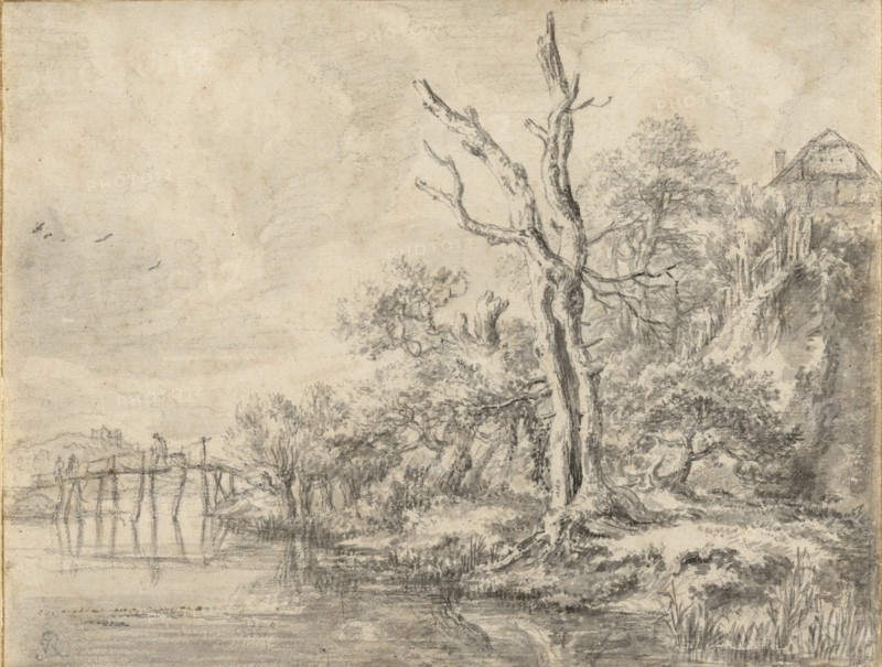 Dead Tree by a Stream at the Foot of a Hill; Jacob van Ruisdael, Dutch, 1628,1629 - 1682, about 1650 - 1660; Black chalk, point