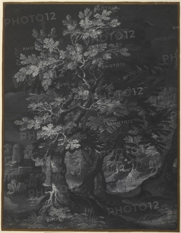 Forest Scene; Circle of Gillis van Coninxloo, Flemish, 1544 - 1607, about 1595 - 1610; Brush and gray and white gouache