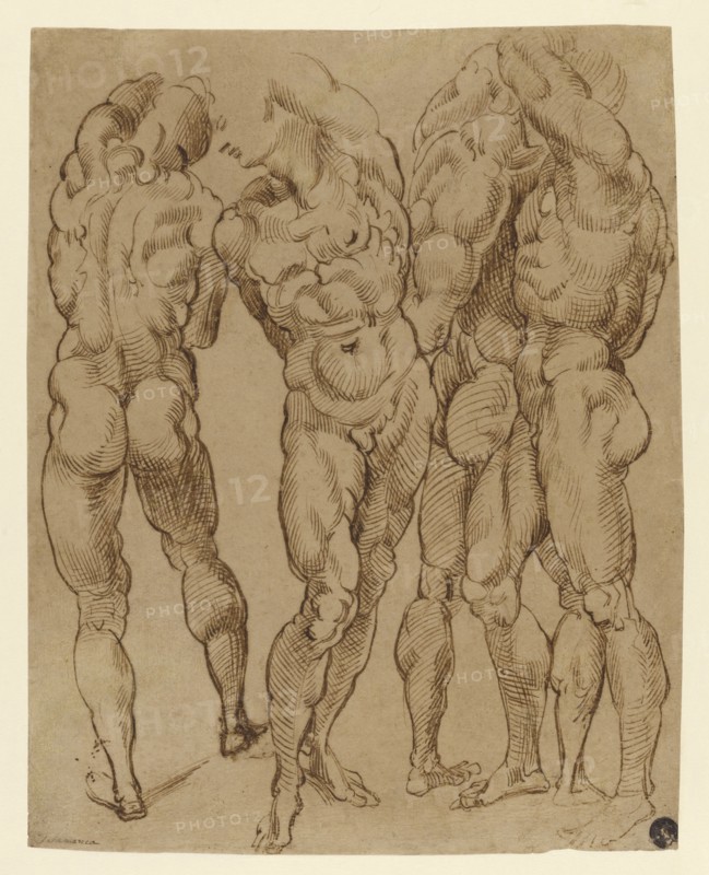 Nude Studies; Bartolomeo Passarotti, Italian, 1529 - 1592, Italy; about 1570 - 1580; Pen and ink; 29.5 x 23.5 cm