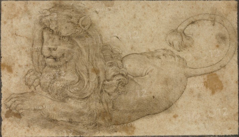 Study of a Lion; Lucas Cranach the Elder, German, 1472 - 1553, Germany; 1509; Pen and brown ink; 6.8 x 11.9 cm