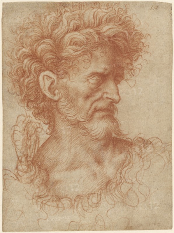 Saint John the Baptist; Giovanni Agostino da Lodi, Italian, active about 1467 - 1525, about 1500; Red chalk; 14.5 x 10.8 cm