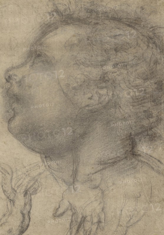 Head of a Child, an Angel, and a Hand, recto, Male Figure, verso, Fra Bartolommeo, Baccio della Porta, Italian, 1472 - 1517