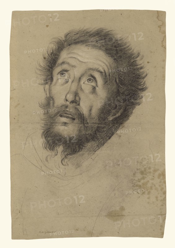 Head of Saint Francis, recto, Studies of the Head of Saint Francis, Head of an Old Man, and Two Right Hands, verso, Bernardo