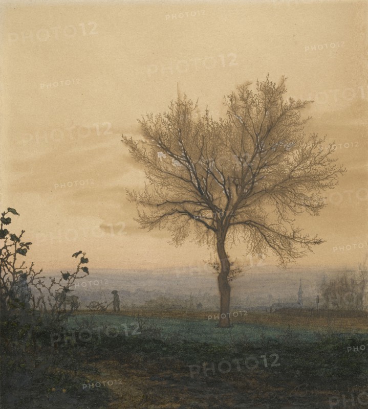 Landscape with a Bare Tree and a Plowman; Léon Bonvin, French, 1834 - 1866, France; 1864; Pen and brown ink, watercolor