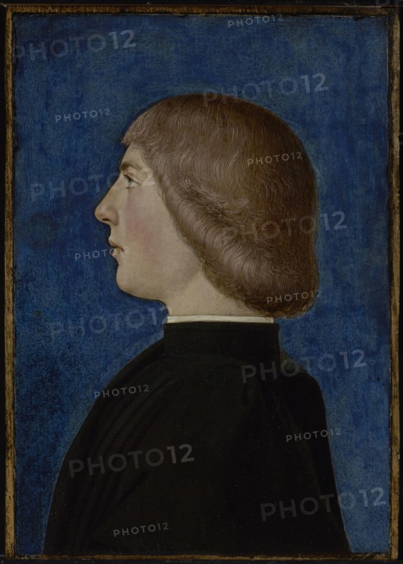 Portrait of a Young Man; Italian, Ferrarese School, 15th century; second half of 15th century; Oil possibly mixed with tempera