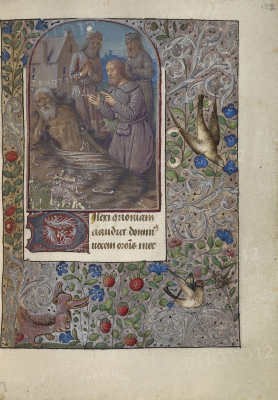 Job on the Dung Heap; Jean Bourdichon, French, 1457 - 1521, Provence, France; about 1480 - 1490; Tempera colors, gold leaf