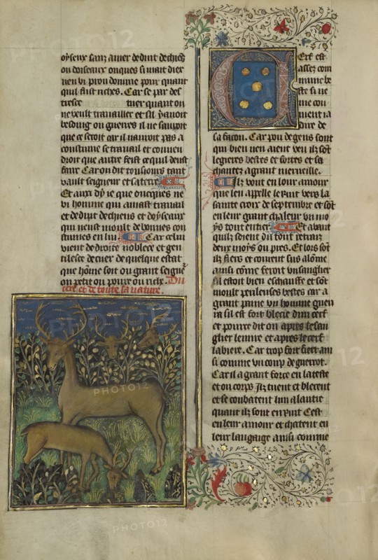 Deer; Brittany, France; about 1430 - 1440; Tempera colors, gold paint, silver paint, and gold leaf on parchment; Leaf: 26.4 x 18