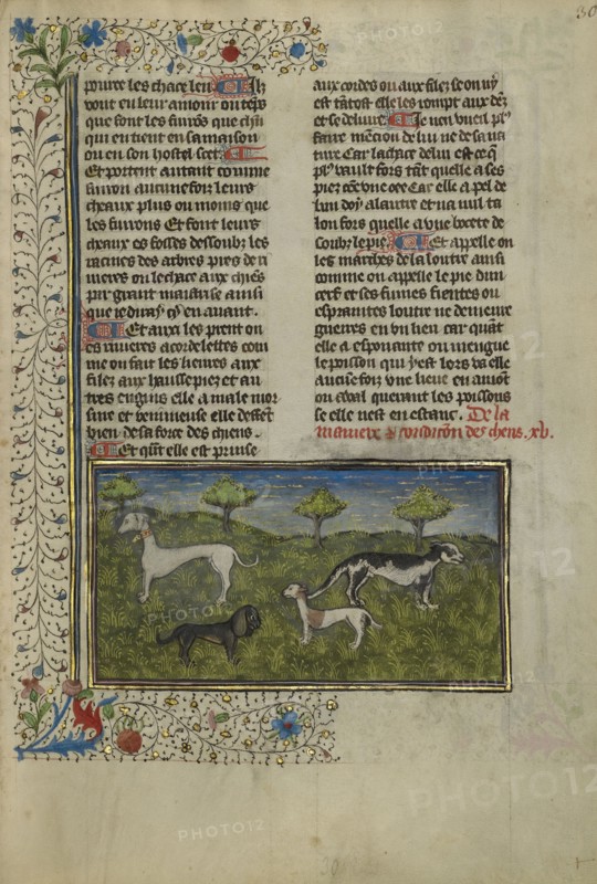 Dogs; Brittany, France; about 1430 - 1440; Tempera colors, gold paint, silver paint, and gold leaf on parchment; Leaf: 26.4 x 18