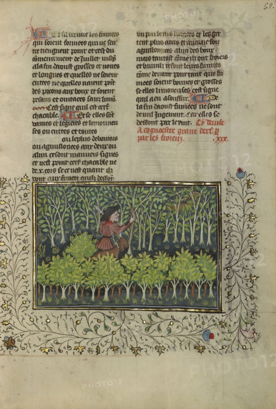 A Hunter and a Dog Examining a Deer's Fraying Place; Brittany, France; about 1430 - 1440; Tempera colors, gold paint, silver