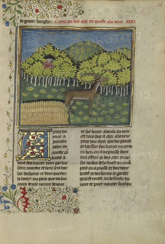 A Hunter Spotting a Deer; Brittany, France; about 1430 - 1440; Tempera colors, gold paint, silver paint, and gold leaf on