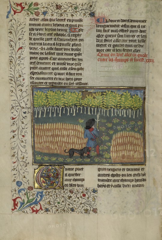 A Hunter and a Dog Tracking between a Field and a Forest; Brittany, France; about 1430 - 1440; Tempera colors, gold paint
