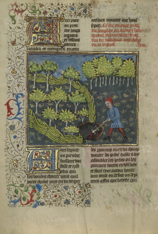 A Hunter Wounding a Wild Boar Caught in a Pit; Brittany, France; about 1430 - 1440; Tempera colors, gold paint, silver paint
