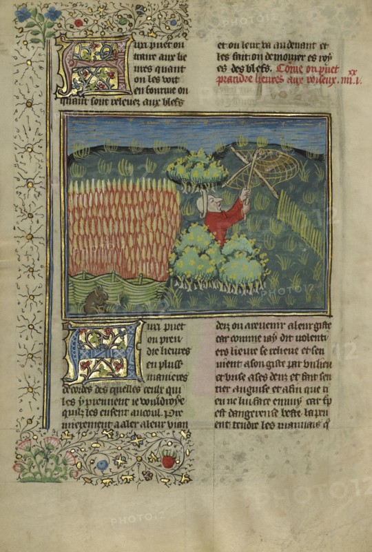 A Hunter Netting Hares; Brittany, France; about 1430 - 1440; Tempera colors, gold paint, silver paint, and gold leaf on