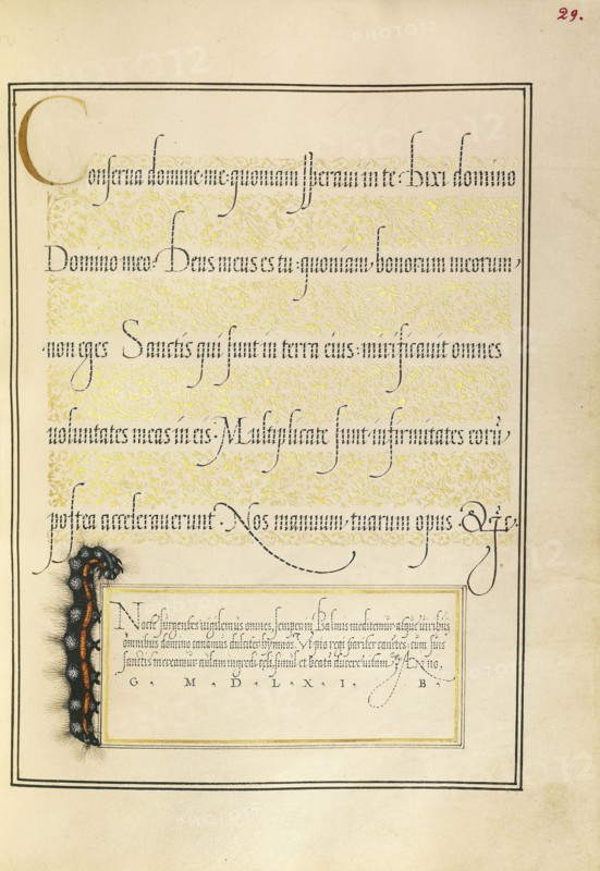 Dagger; Joris Hoefnagel, Flemish , Hungarian, 1542 - 1600, and Georg Bocskay, Hungarian, died 1575, Vienna, Austria; 1561