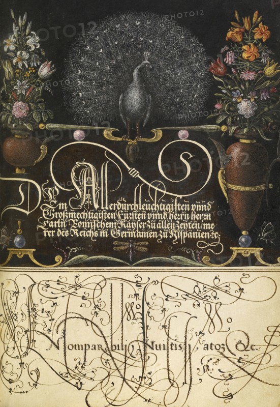 Flower Arrangements, Peacock, Butterflies, and Insect; Joris Hoefnagel, Flemish , Hungarian, 1542 - 1600, and Georg Bocskay