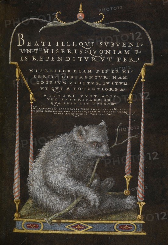 A Sloth; Joris Hoefnagel, Flemish , Hungarian, 1542 - 1600, and Georg Bocskay, Hungarian, died 1575, Vienna, Austria; 1561