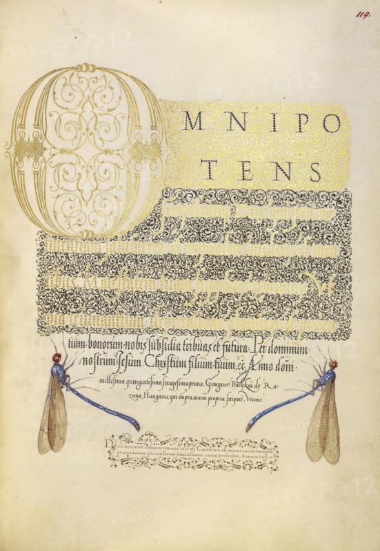 Damselflies; Joris Hoefnagel, Flemish , Hungarian, 1542 - 1600, and Georg Bocskay, Hungarian, died 1575, Vienna, Austria; 1561