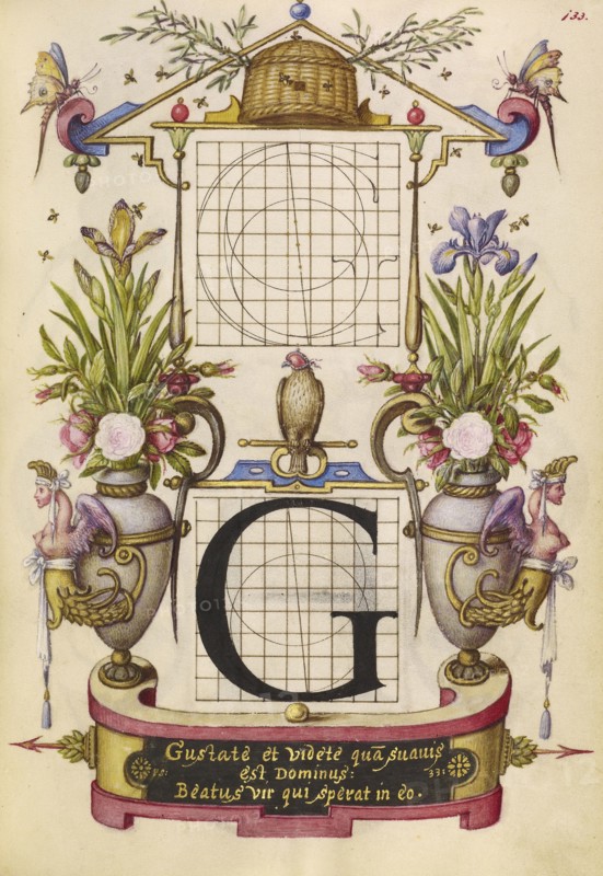 Guide for Constructing the Letter G; Joris Hoefnagel, Flemish , Hungarian, 1542 - 1600, Vienna, Austria; about 1591 - 1596